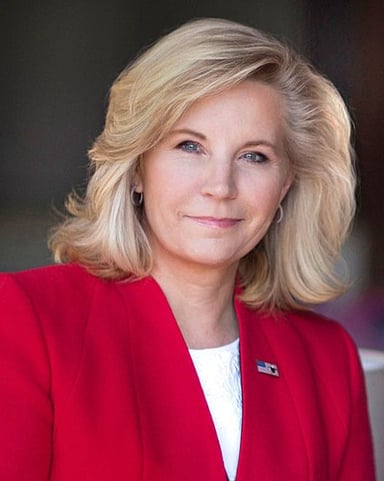 What is Liz Cheney's ideological political stance within the Republican Party?