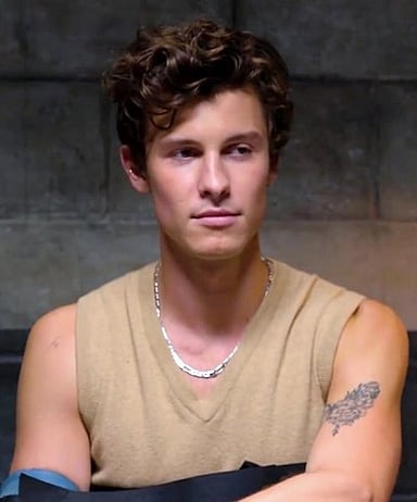 What is the name of Shawn Mendes' second studio album?