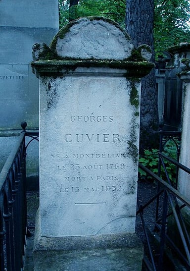 Which area of science is Cuvier a major figure in?