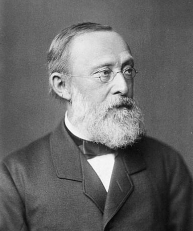 What term did Virchow coin related to the non-formation of an organ or tissue?