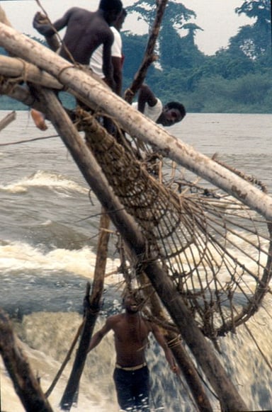 How far is Kisangani from the mouth of the Congo River?