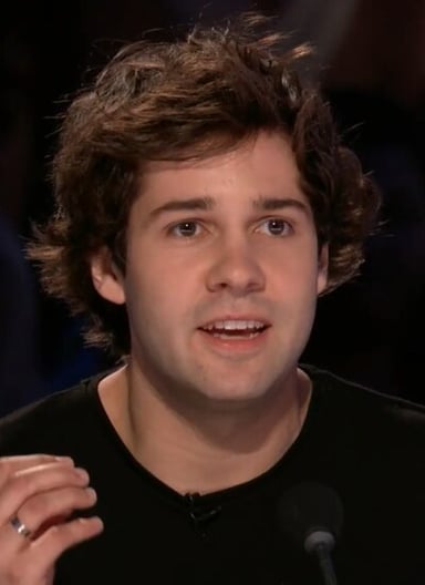 From which country did David Dobrik originate?