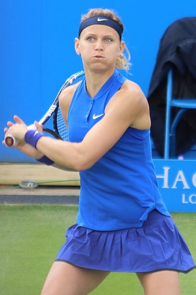 How many times has Šafářová's team won the Fed Cup competition between 2011 and 2018?
