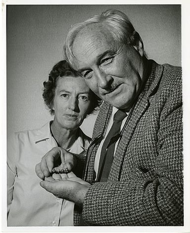 Which of the following was a key area of Leakey's work?