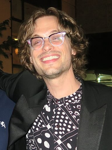 Matthew Gray Gubler is not just an actor. What other professions does he have?