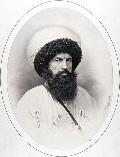 What was Imam Shamil's role in North Caucasian resistance to Imperial Russia?