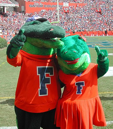 What is the Florida Gators' mascot's name?
