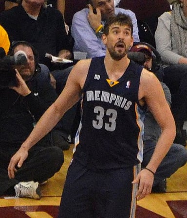 What is the maximum number of people that can be present at [url class="tippy_vc" href="#1923669"]FedExForum[/url], the home of Memphis Grizzlies?