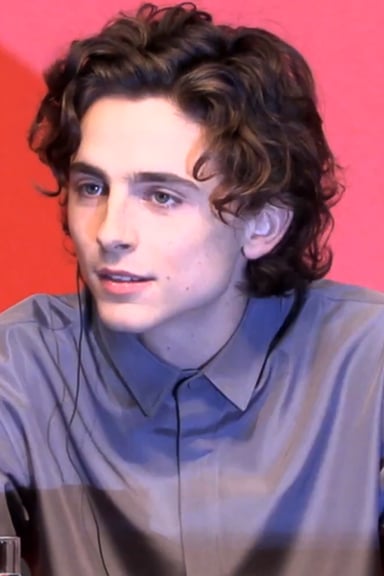 In what year did Timothée Chalamet receive the [url class="tippy_vc" href="#935541"]Independent Spirit Awards[/url] for [url class="tippy_vc" href="#75410304"]Call Me By Your Name[/url]?