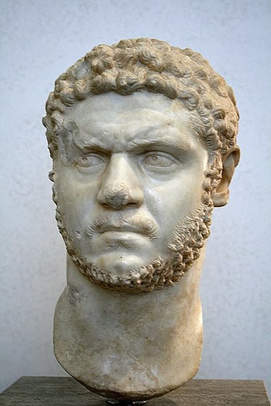 Which ancient historian wrote about Caracalla's reign and portrayed him as a tyrant?