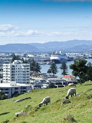 Which city did Tauranga overtake to become New Zealand's fifth-largest city?