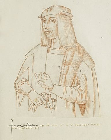 Which institution was founded under James IV's patronage?