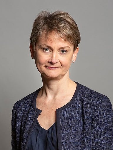 Which role did Yvette Cooper fulfill after Labour lost the 2010 general election?