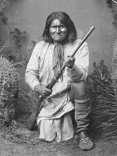 What role did Geronimo have in his tribe?