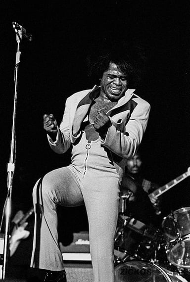 Could you select James Brown's most well-known occupations? [br](Select 2 answers)