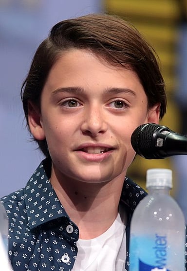What is the name of Noah Schnapp's twin sister?