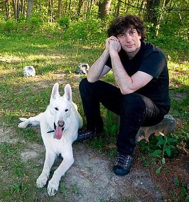 What is the profession of Neil Gaiman's wife, Amanda Palmer?