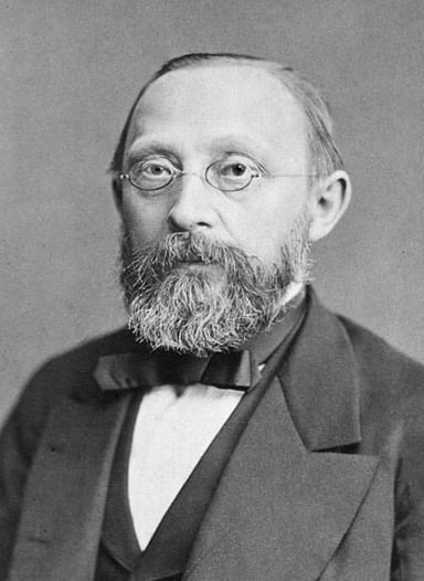 Which term did Virchow coin that pertains to brain cells?