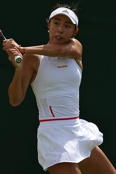 Wang Qiang's fiercest rivalry on court was with..?
