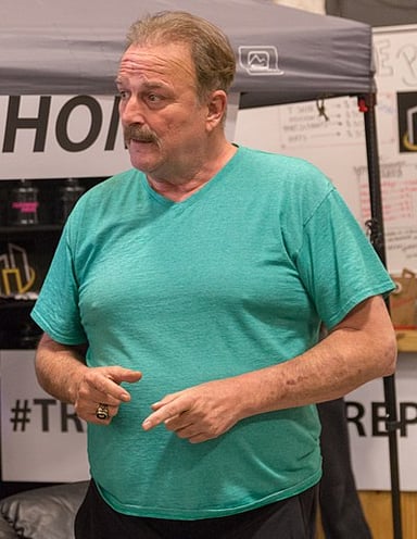 Jake Roberts' journey to sobriety was detailed in which documentary?