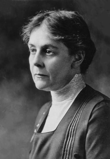 What was Alice Hamilton's role at the Woman's Medical School of Northwestern University?