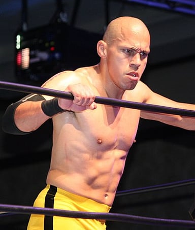 Which wrestling companies is Low Ki known for wrestling in?
