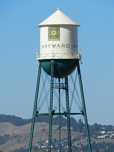What metropolitan statistical area is Hayward included in?