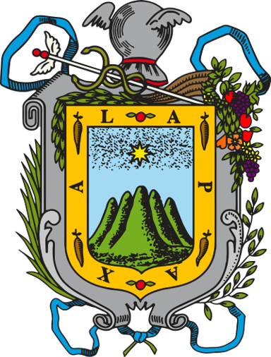 What is a common activity in Coatepec near Xalapa?