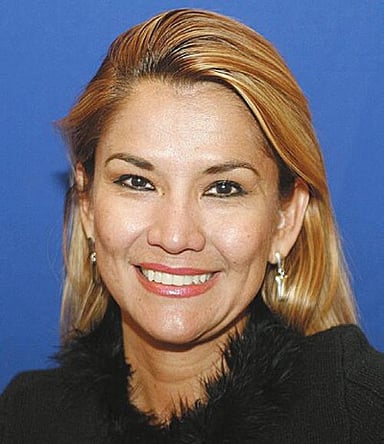 For which department did Jeanine Áñez serve as a senator?