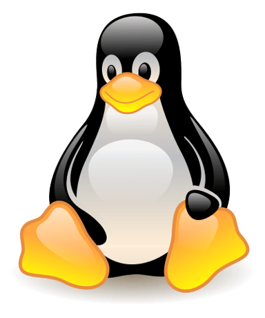 How often does Linux Mint release a new version?