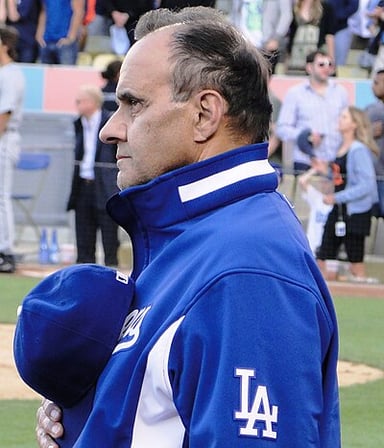 What is Joe Torre's role in baseball as of 2020?