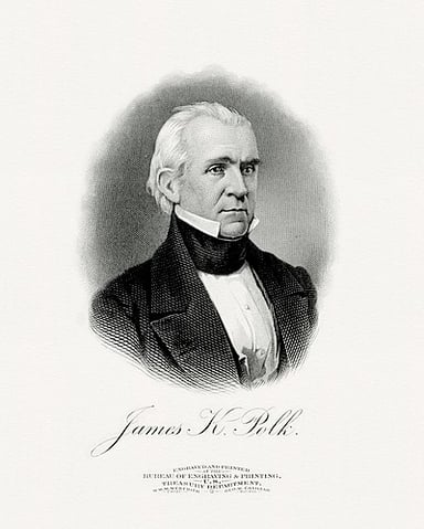 What is/was James K. Polk's political party?