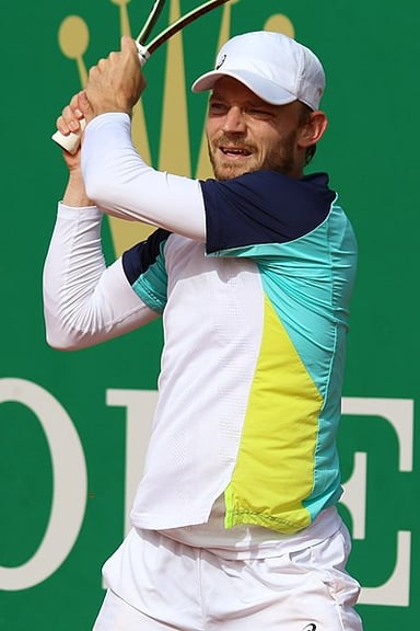 What is the highest singles ranking that David Goffin has reached in his career?