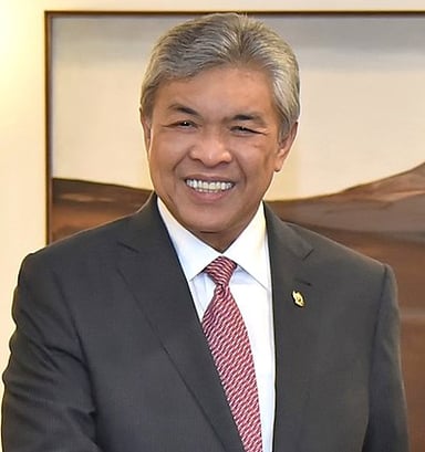 In what year did Ahmad Zahid Hamidi become Deputy Prime Minister for the first time?