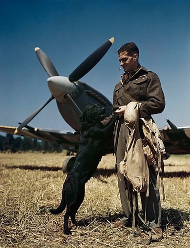 Johnson's victories made him the top RAF ace against which air force?