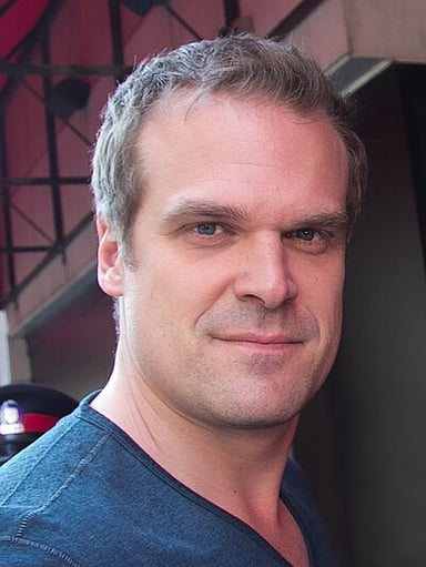 Could you select David Harbour's most well-known occupations? [br](Select 2 answers)