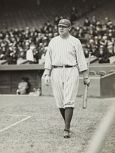 What was the highest number of home runs Babe Ruth hit in a single season?