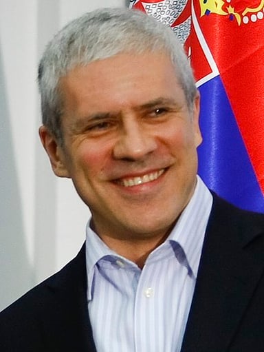 After leaving DS, what did Boris Tadić initially name his new party?