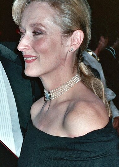 Where did Meryl Streep attend school?[br](select 2 answers)