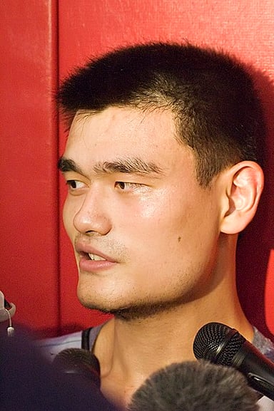 How many blocks does Yao Ming have in total for the Rockets?