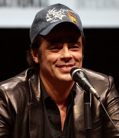 Who did Benicio del Toro play in 21 Grams?