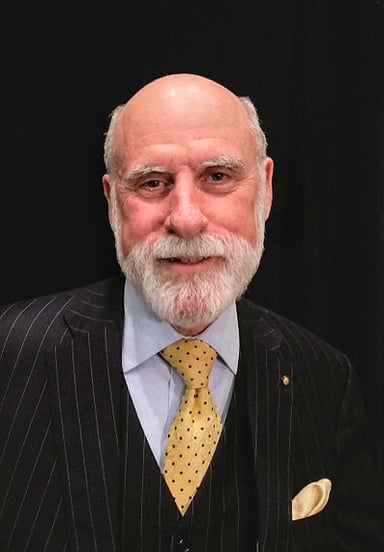 What is Vint Cerf's role at Google?