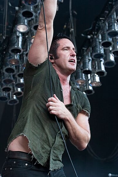Which artist's albums has Trent Reznor contributed to?