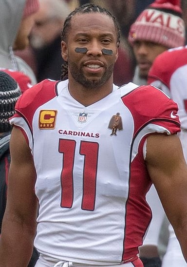 What team did Larry Fitzgerald play for in the NFL?