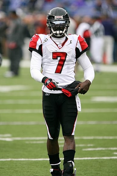 Which year did Vick have his best statistical season?