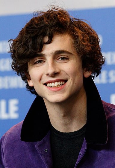 What award did Timothée Chalamet receive in 2017 for [url class="tippy_vc" href="#75410304"]Call Me By Your Name[/url]?
