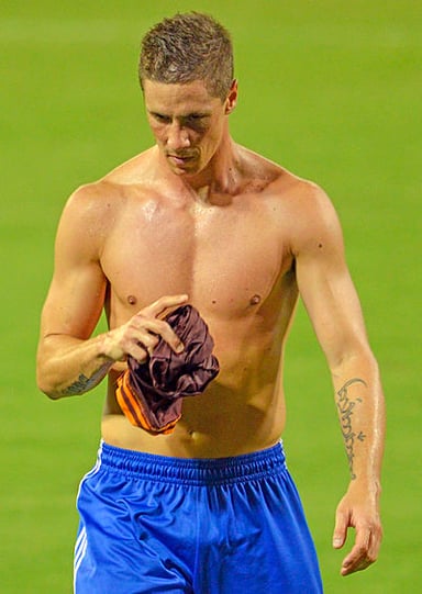 How many major tournaments has Fernando Torres participated in with the Spanish national team?