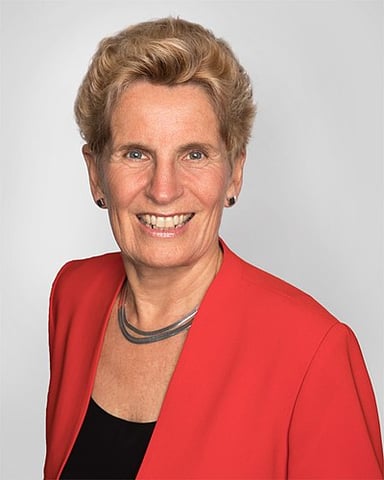 Which program did Wynne's government NOT introduce?