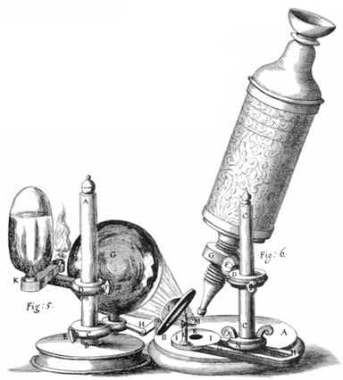 What did Robert Hooke discover using a compound microscope that he built himself?
