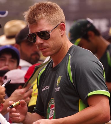 Which team does Warner play for in domestic cricket?